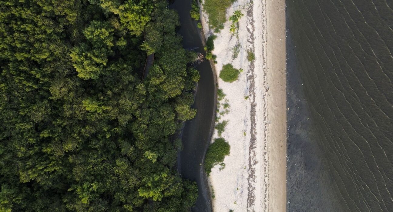 “Não existe Planeta B”, alerta astrofísico às vésperas da COP30