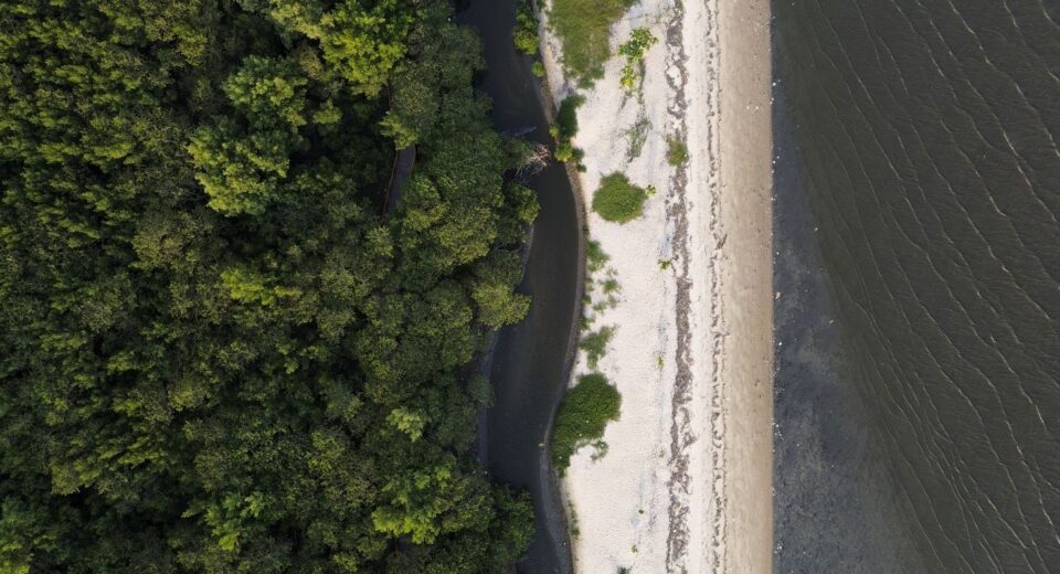 “Não existe Planeta B”, alerta astrofísico às vésperas da COP30