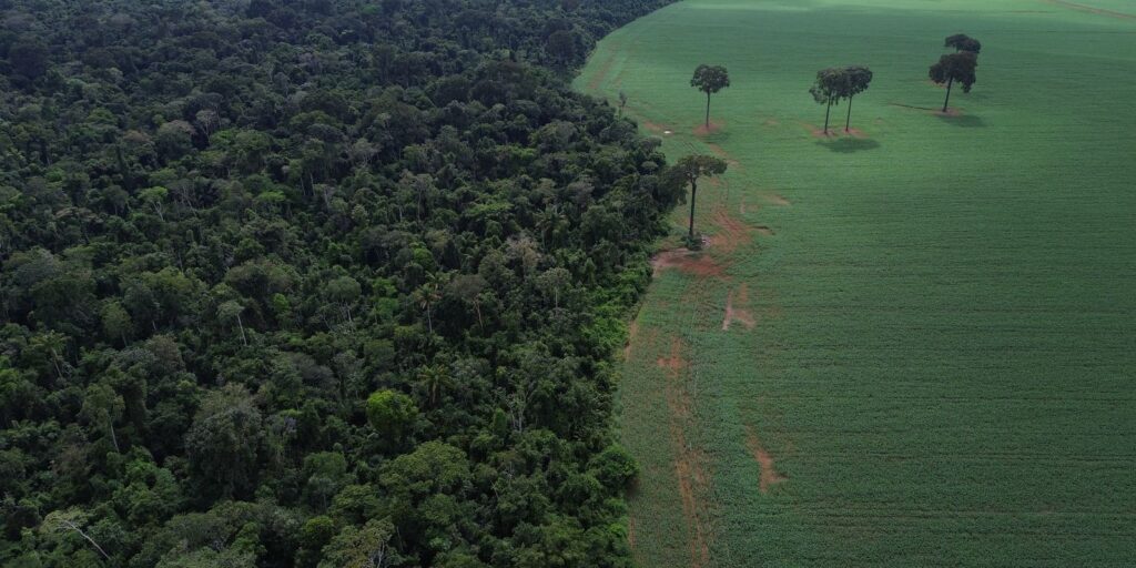 Caravana social vai à COP30 denunciar megaprojetos do agronegócio