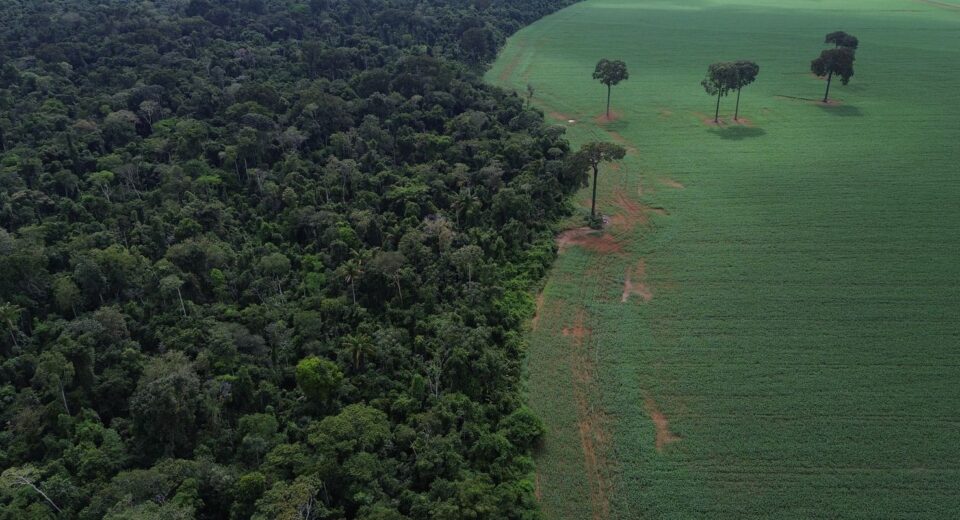 Caravana social vai à COP30 denunciar megaprojetos do agronegócio