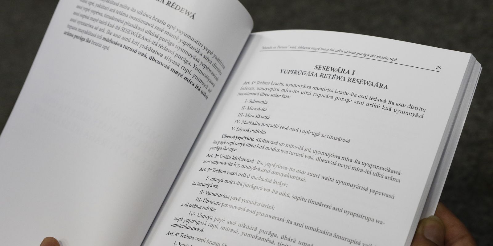 Número de falantes de línguas indígenas aumenta quase 50% em 12 anos