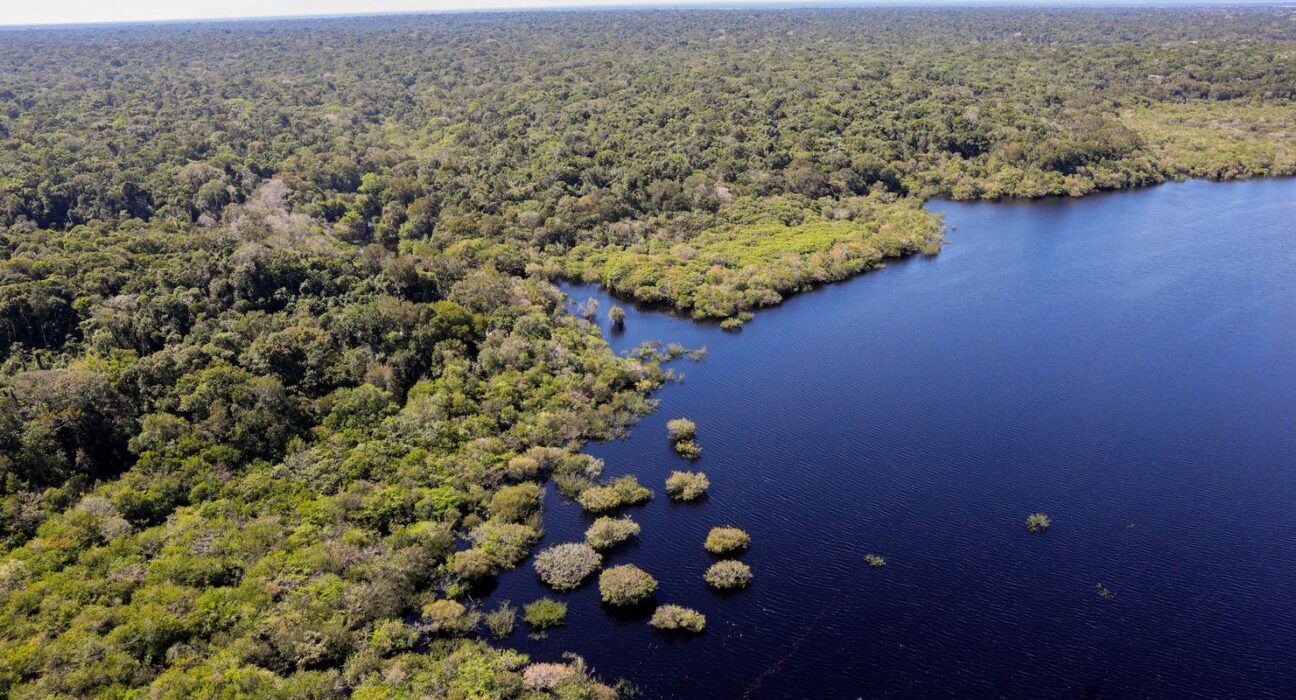 Amazônia e Cerrado registram queda de 11% no desmatamento