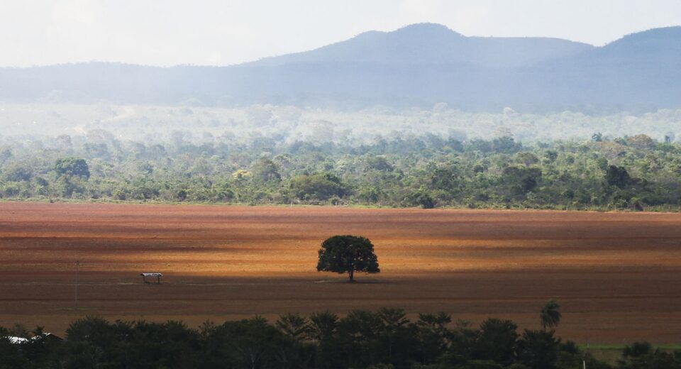 COP30: governo cobra R$ 476 milhões de infratores ambientais