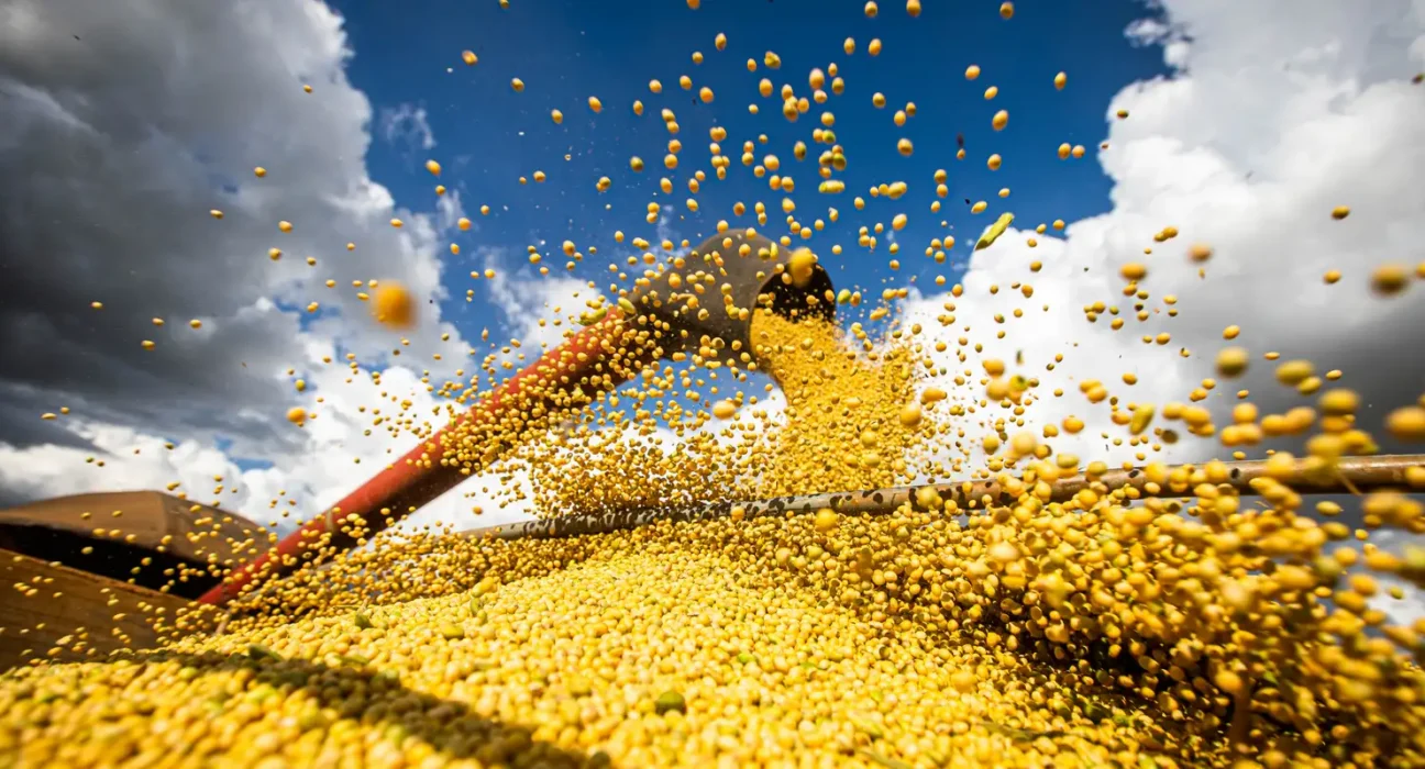Brasil estima colheita de 354,8 milhões de toneladas de grãos