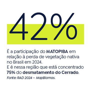 Brasília (DF), 01/11/2025 - Infográficos - especial Fronteira Cerrado. Arte Agência Brasil