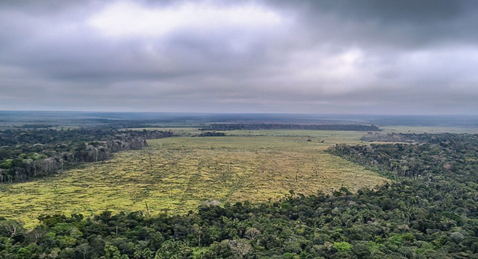 Governo defende manutenção de vetos à lei do licenciamento ambiental