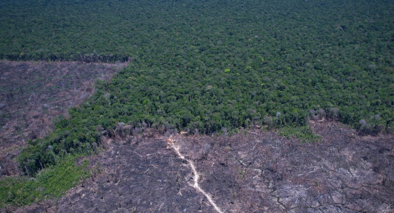 Brasil pode antecipar para 2040 a neutralidade de emissões de CO2
