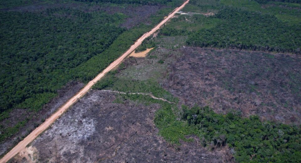Vias ilegais perto da BR-319 avançam em áreas protegidas na Amazônia