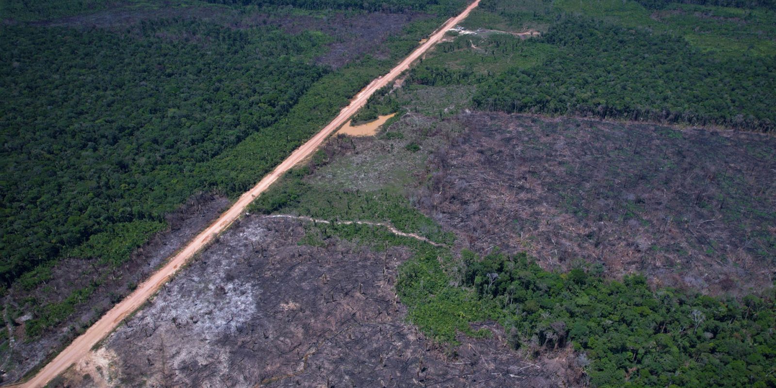 Vias ilegais perto da BR-319 avançam em áreas protegidas na Amazônia