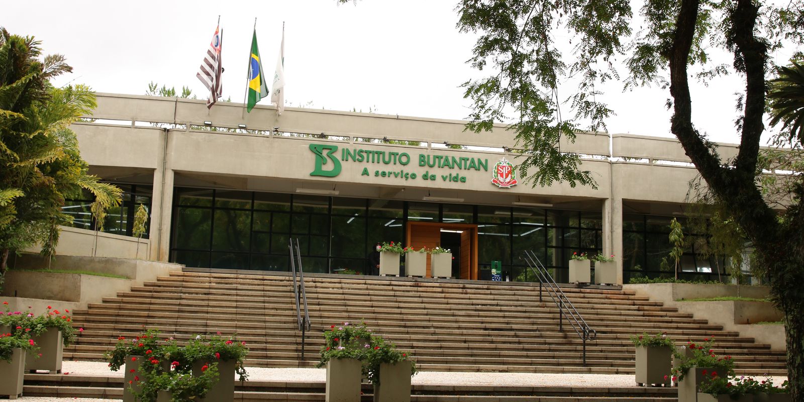 MS aprova parcerias para produção de medicamentos destinados ao SUS