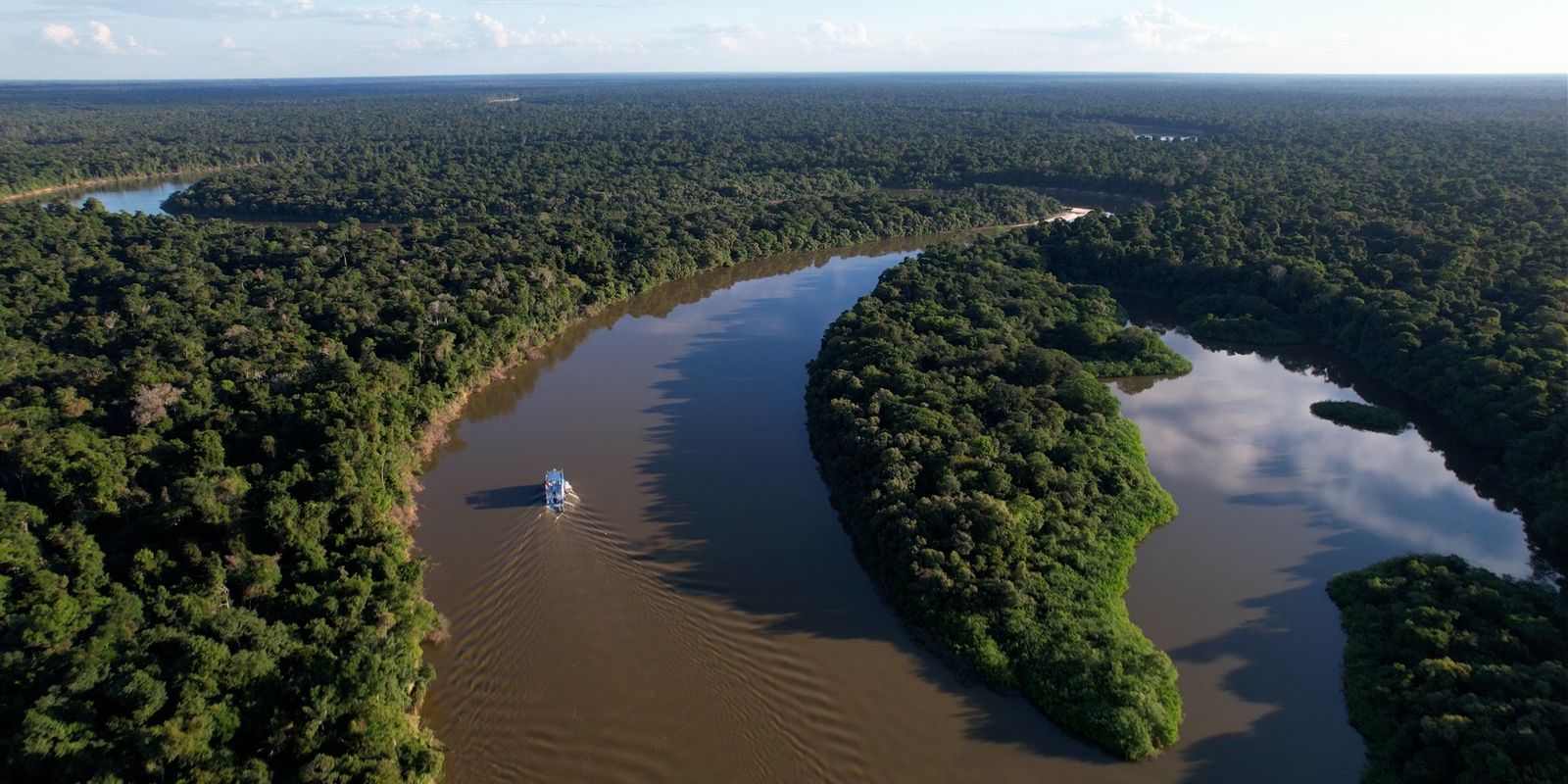 Redução do desmatamento na Amazônia foi histórica, avalia ICMBio