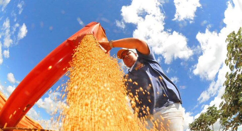 Agropecuária ajudou oito estados a crescerem mais que o Brasil em 2023