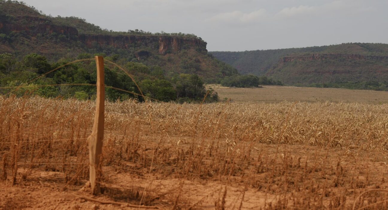 Fronteira Cerrado: acesso desigual ao Estado agrava conflitos agrários