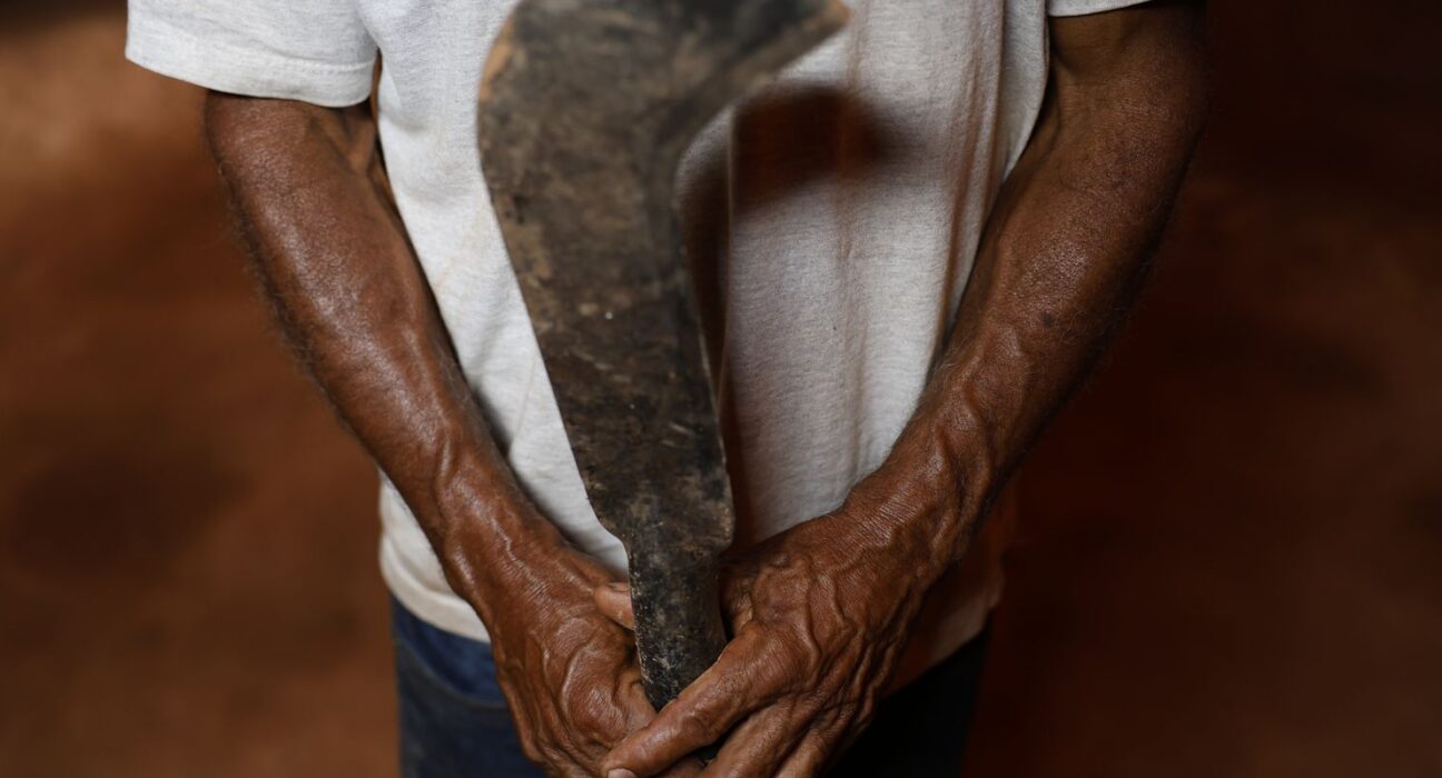 Fronteira Cerrado: desmatamento gera conflitos por terra e grilagem