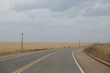 Balsas (MA), 09/10/2025 – Vista de fazendas de cultivo de soja ao longo da rodovia MA-007. Foto: Fernando Frazão/Agência Brasil