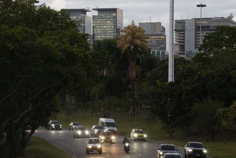 Rio de Janeiro (RJ), 26/11/2025 – Floração única das palmeiras Talipot (Corypha umbraculifera) plantadas no Aterro do Flamengo durante a década de 1960 pelo projeto do paisagista Roberto Burle Marx. Foto: Fernando Frazão/Agência Brasil