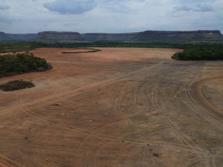 Balsas (MA), 09/10/2025 – Lavoura de cultivo de soja avança sobre a vegetação do cerrado na região do Vão do Uruçuí, nos Gerais de Balsas. Foto: Fernando Frazão/Agência Brasil