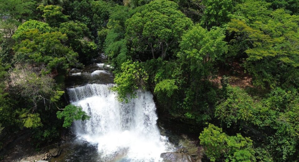 Fronteira Cerrado: ativistas pedem mesma prioridade dada à Amazônia