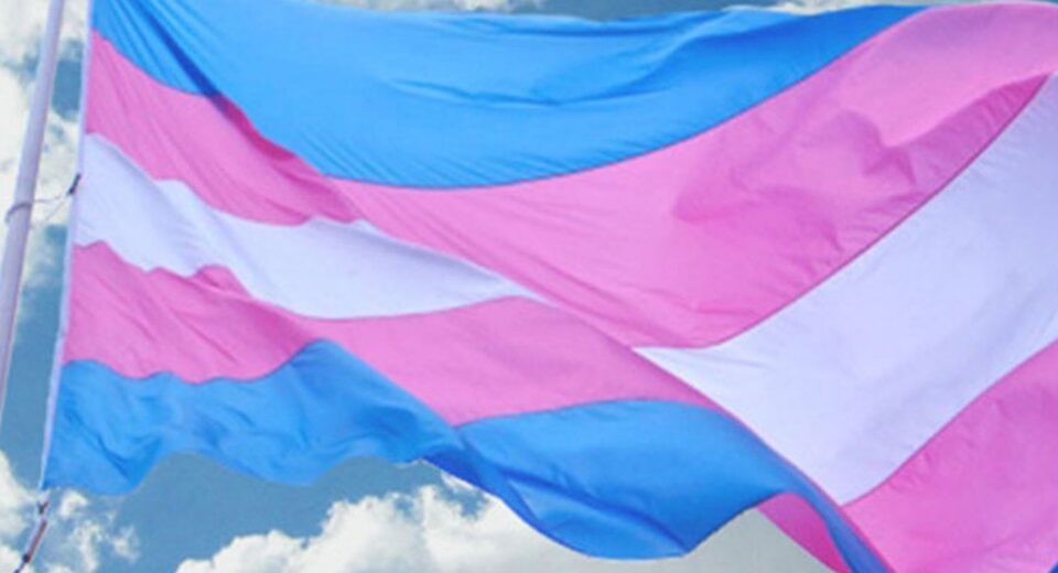 Preconceito dificulta rastreio e tratamento de câncer em pessoas trans