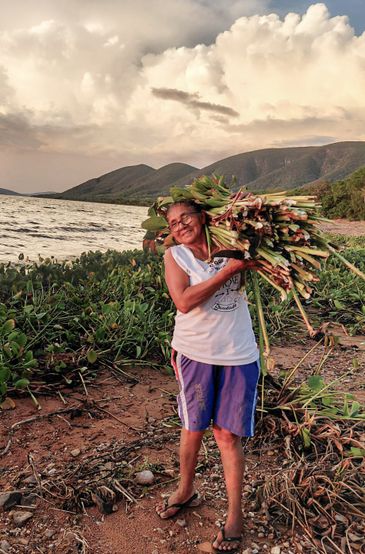 São Paulo (SP), 12/11/2025 – novo relatório do MapBiomas revela bioma reconfigurado em 40 anos.
Foto: Eliane/Arquivo pessoal