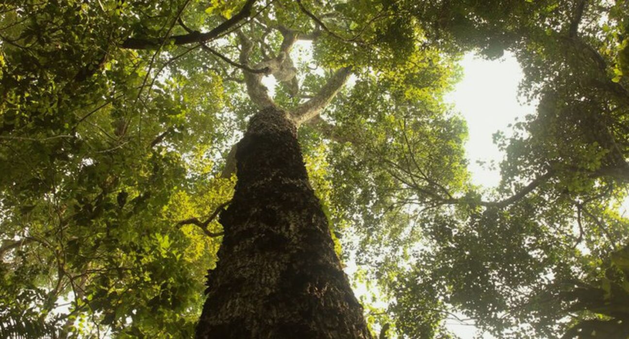 TV Brasil estreia nova temporada de "Parques do Brasil" neste domingo