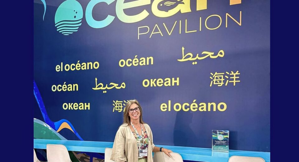 COP30: oceanos podem cortar 35% das emissões de CO₂ até 2050