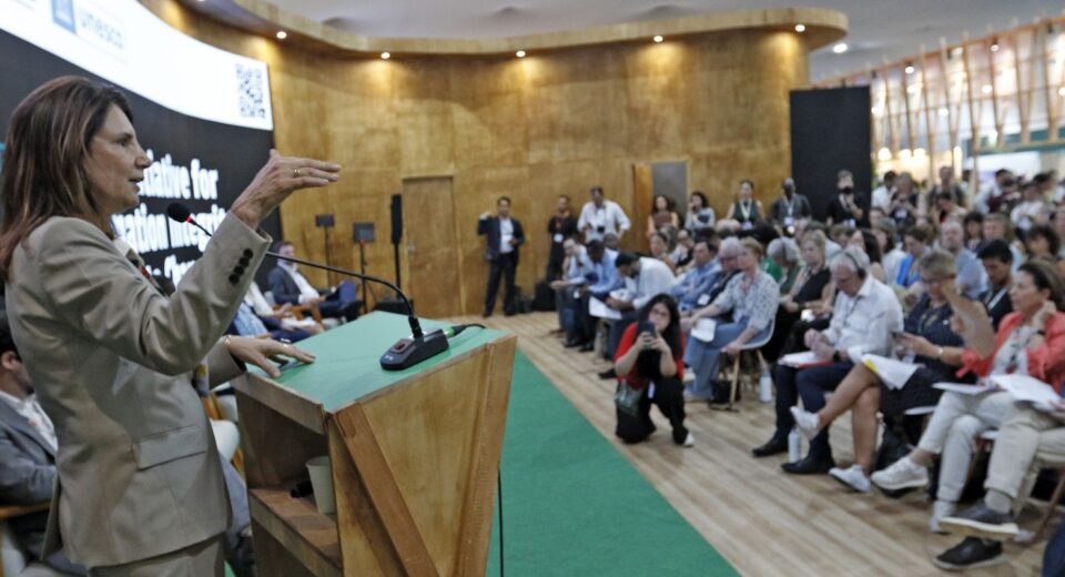 Países lançam na COP declaração para enfrentar desinformação climática