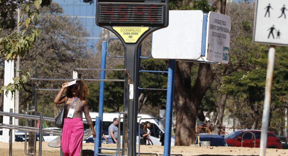 Efeitos das mudanças do clima agravam alergias, diz especialista