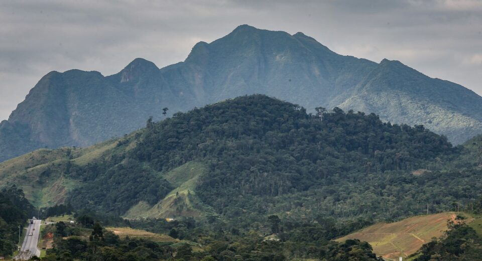 SOS Mata Atlântica mobiliza setor privado para conservação do bioma