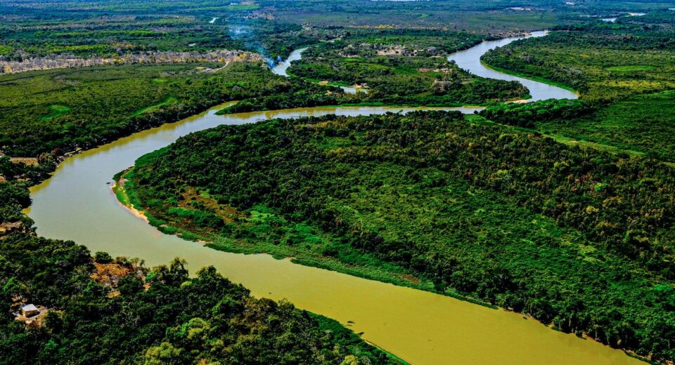 Relatório do MapBiomas revela Pantanal reconfigurado em 40 anos