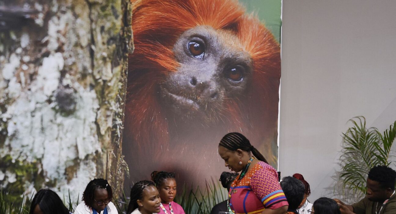COP30: financiamento, transição e adaptação são centro das negociações