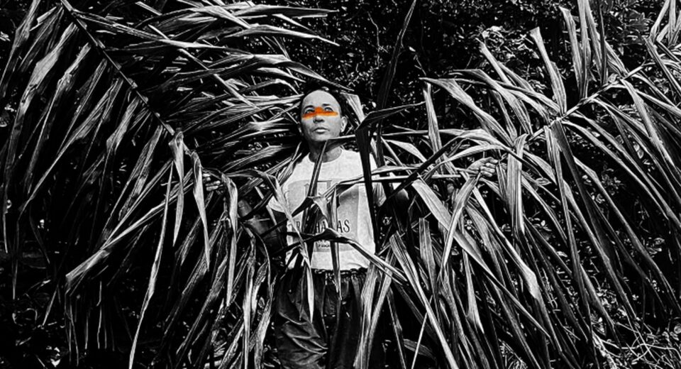 Exposição em SP propõe diálogos sobre gênero, sexualidade e natureza