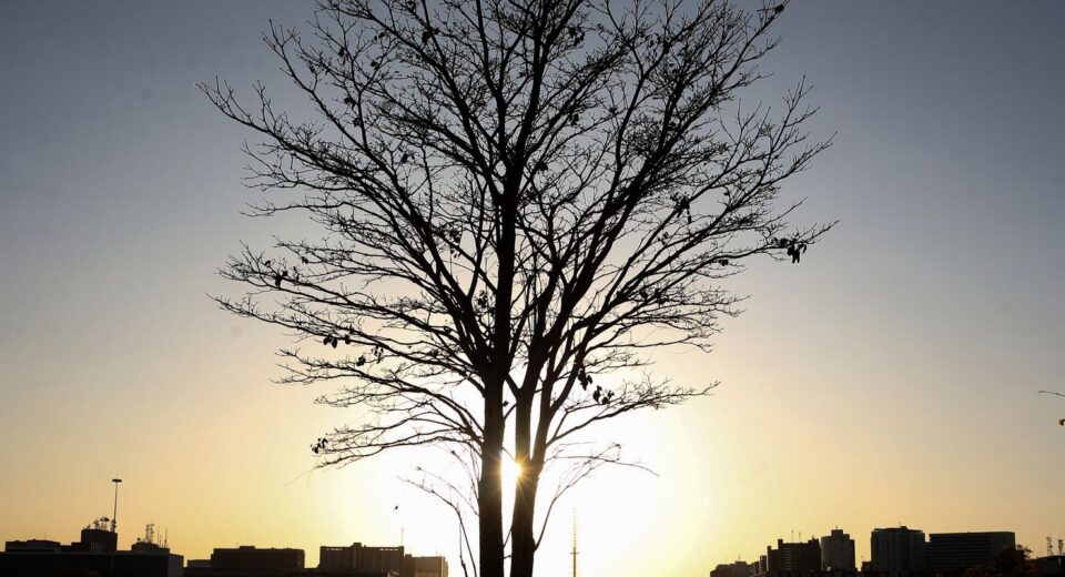 Cientista alerta para risco de aquecimento global por longo tempo