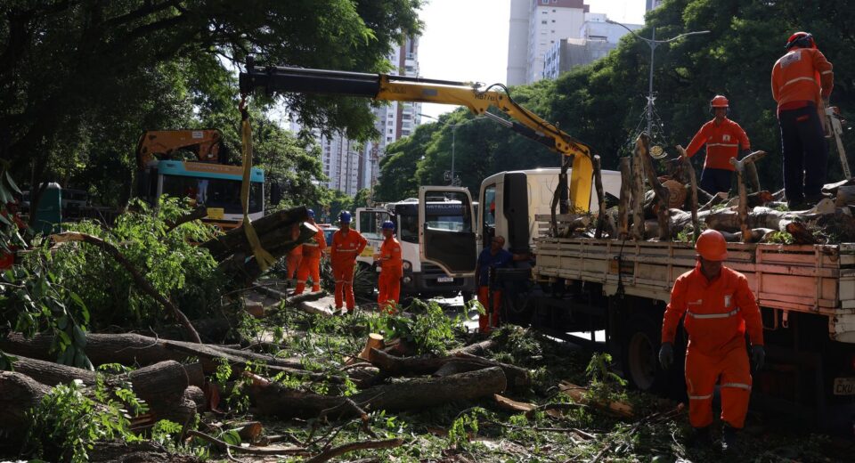 Dois dias após ciclone, SP ainda tem 800 mil moradores sem energia