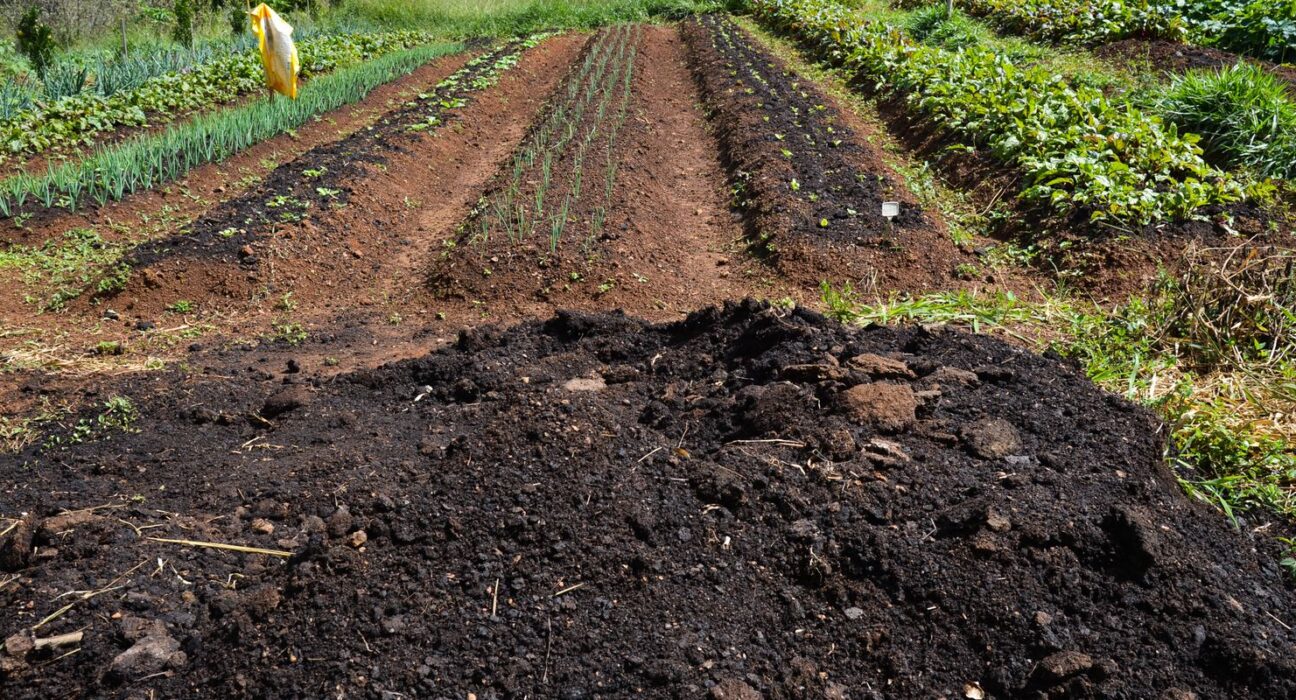CMN amplia socorro a produtores afetados pelo clima