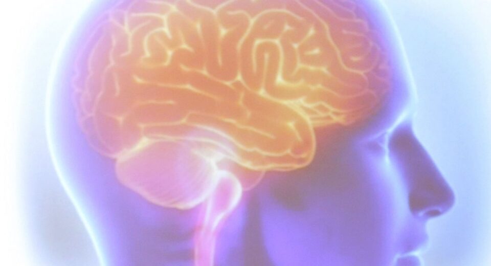 Projeto Ártemis avalia genética de pacientes que sofreram AVC