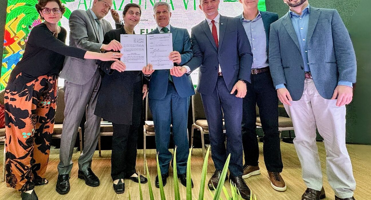 Fundo Amazônia: cadeias produtivas de florestas terão R$ 96,6 milhões