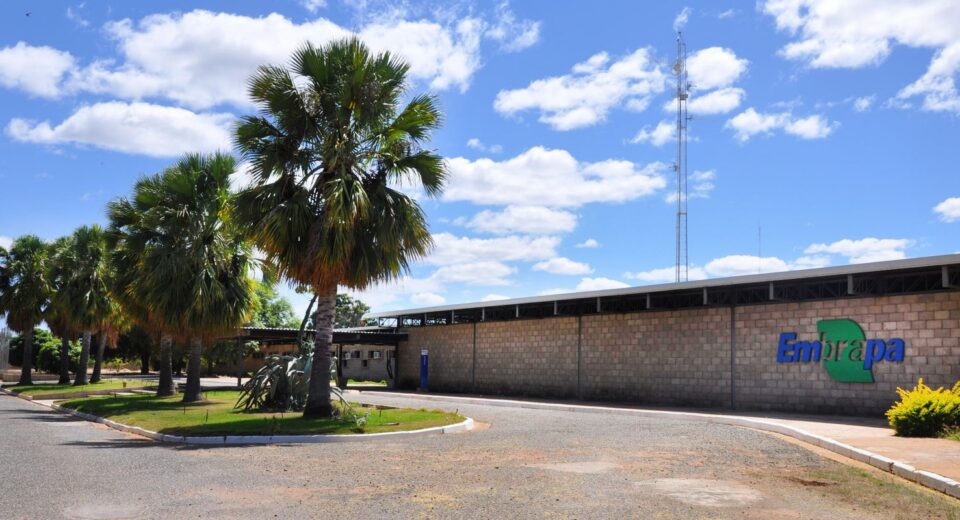 Aplicativo gratuito da Embrapa ajuda a planejar barragens no semiárido