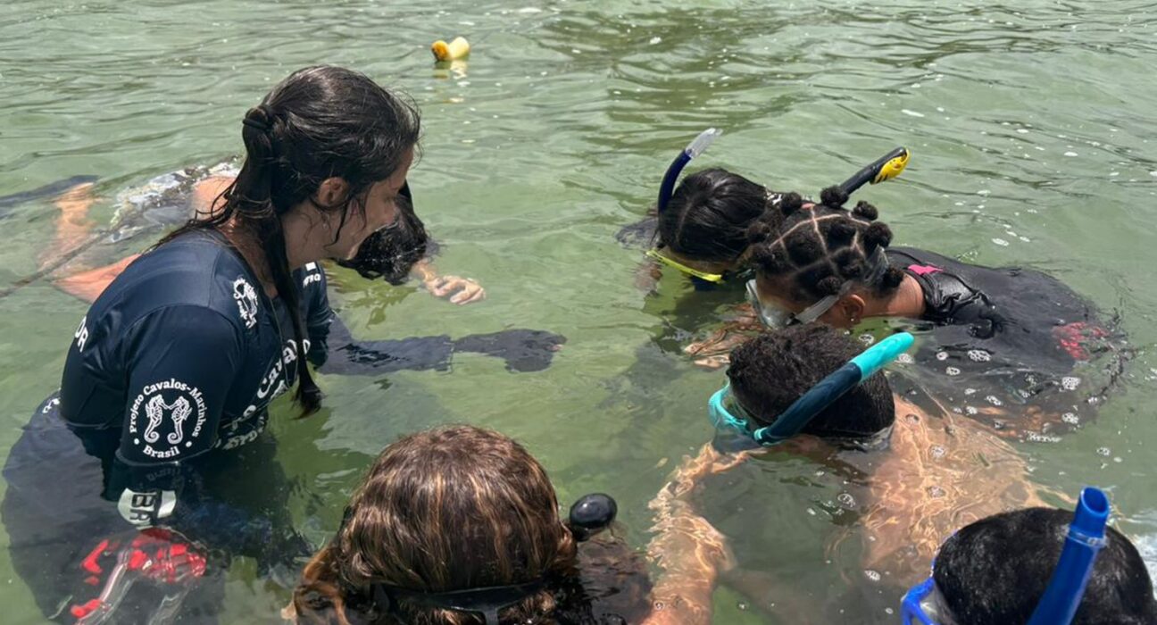 Projeto no Rio forma guardiões de cavalos-marinhos de 12 a 14 anos