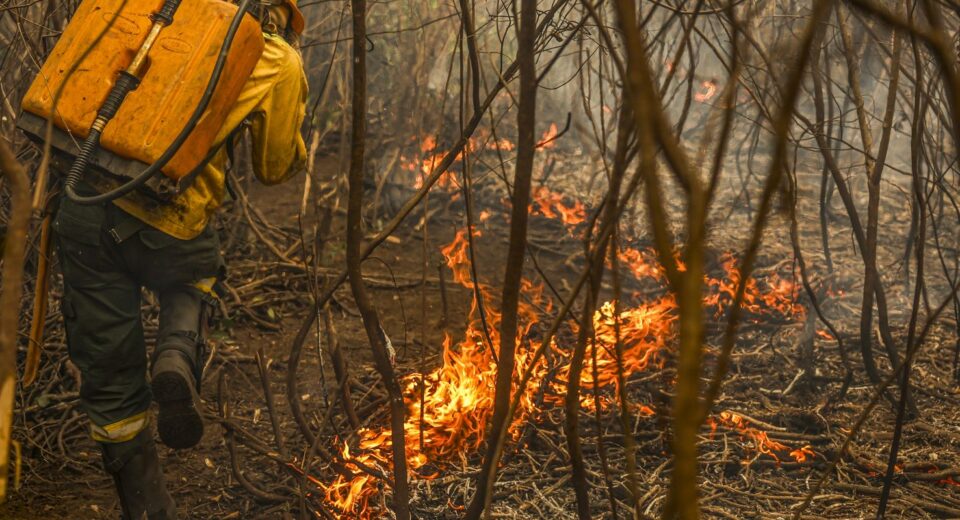 Governo lança painel inédito para rastrear gastos ambientais