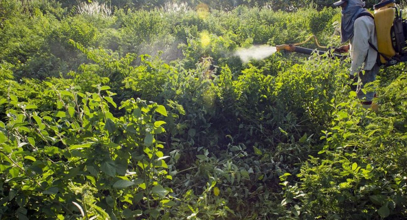 Campanha denuncia agronegócio por contaminações com uso de agrotóxicos