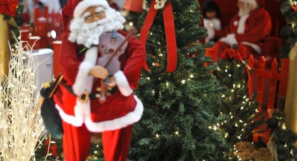 Hoje é Dia: Natal, ecologia e Cristina Buarque são destaques