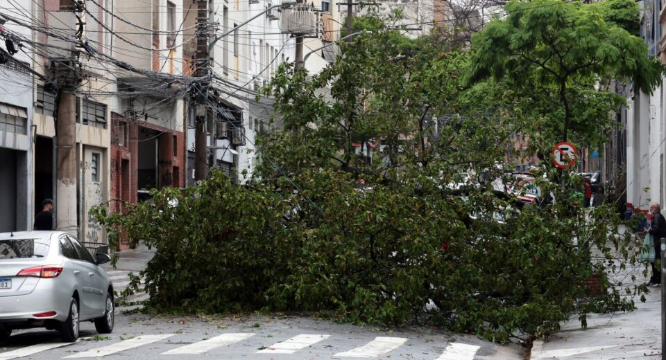 Prefeitura fecha todos os parques de São Paulo por causa dos ventos