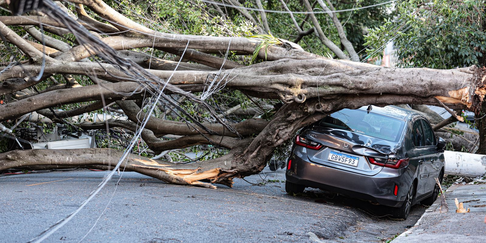 Ciclone deixa 2 milhões de clientes sem energia em São Paulo