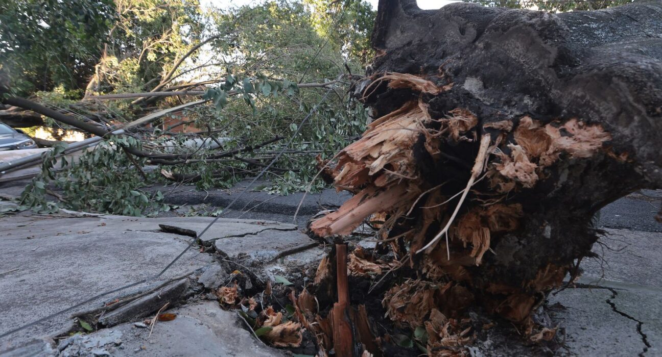 MIDR reconhece situação de emergência em 21 municípios 