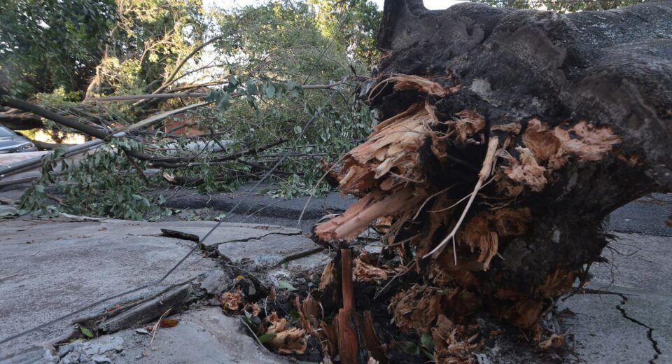 MIDR reconhece situação de emergência em 21 municípios