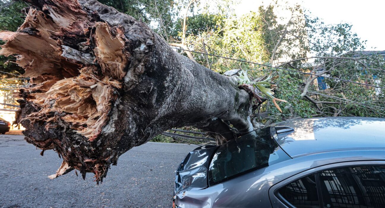 São Paulo enfrenta ventos de quase 100 km/h nesta quarta-feira