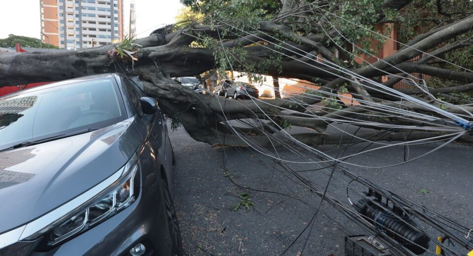 São Paulo e capitais do Sul terão ventos moderados nesta quinta-feira