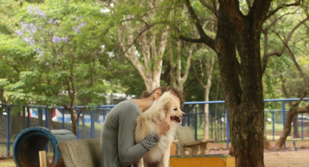 Cade aprova fusão entre Petz e Cobasi com restrições