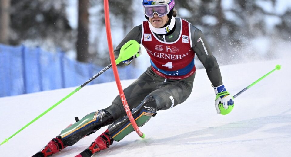 COB anuncia os 14 convocados para a Olimpíada de Inverno Milão-Cortina